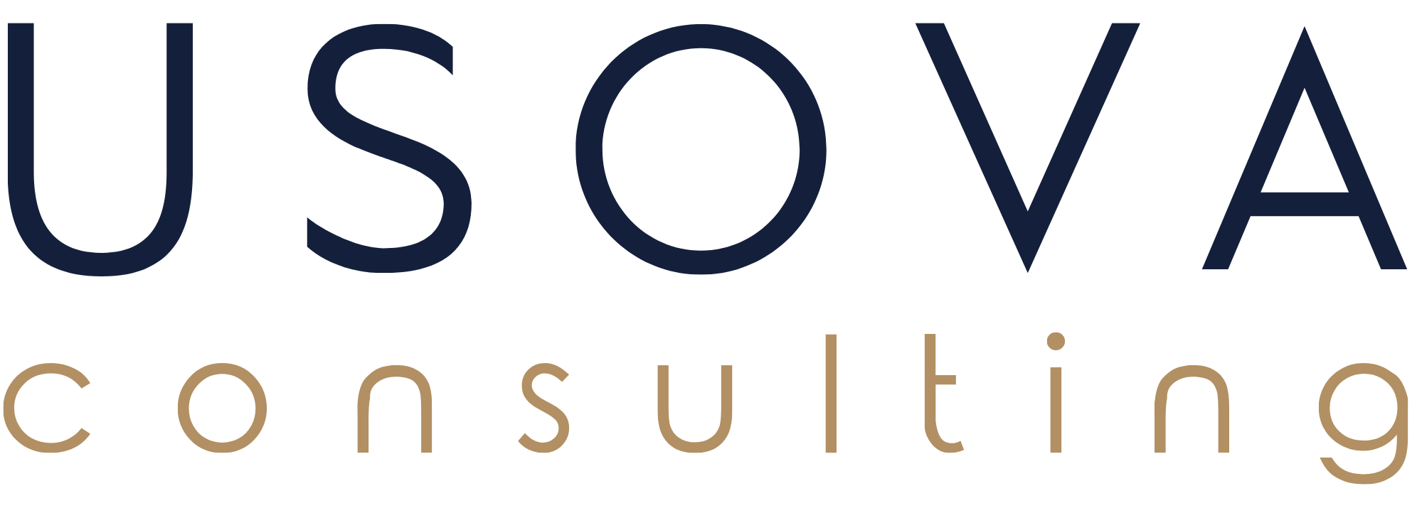 Usova Consulting